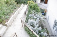 жилье в сочи снять недорого для отдыха