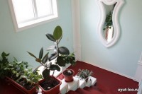 отдых в сочи в 2018 году