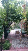 Севастополь 2024 жилье на длительный срок - Лучшие гостевые дома