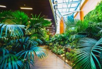  2024 растения в ботаническом саду - Общество