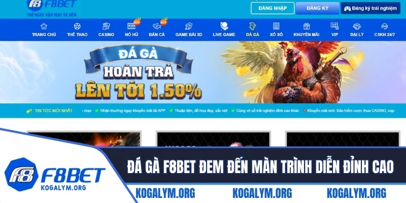 Đá gà F8BET đem đến cho người chơi những màn trình diễn đỉnh cao