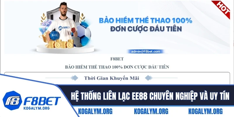 Bảo hiểm cược thua 100% bù đắp một phần thiệt hại