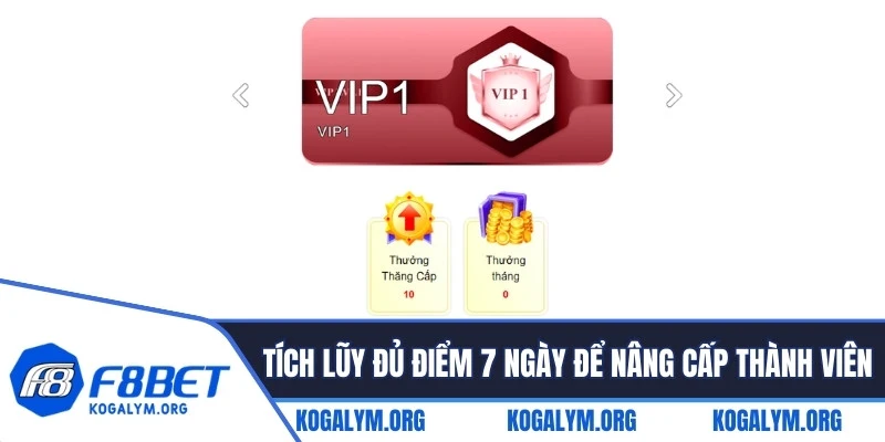 Tích lũy đủ điểm VIP F8BET 7 ngày để nâng cấp thành viên