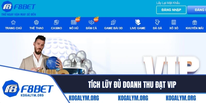 Tích lũy đủ doanh thu đạt VIP là điều kiện quan trọng