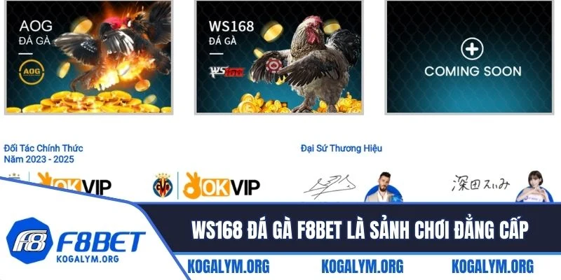 WS168 đá gà F8BET nổi lên như một sảnh chơi đẳng cấp